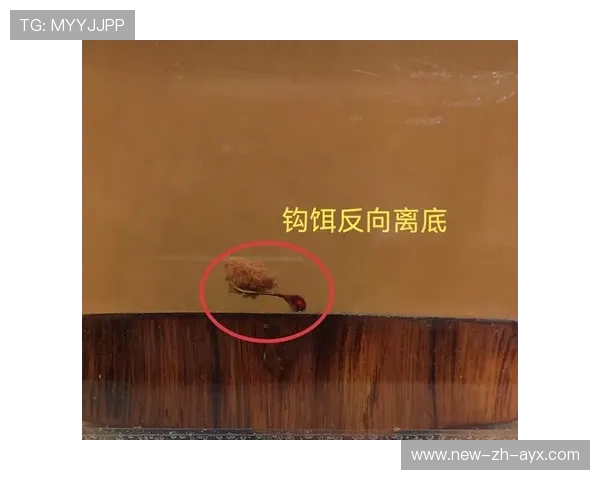 【悬空球新战术】野手运用新规则迎战变化中的比赛格局！，悬空钓悬空钓法